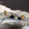 2-2 Blue Sapphire and White Sapphire Earrings