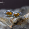 8-1 citrine&WTearrings